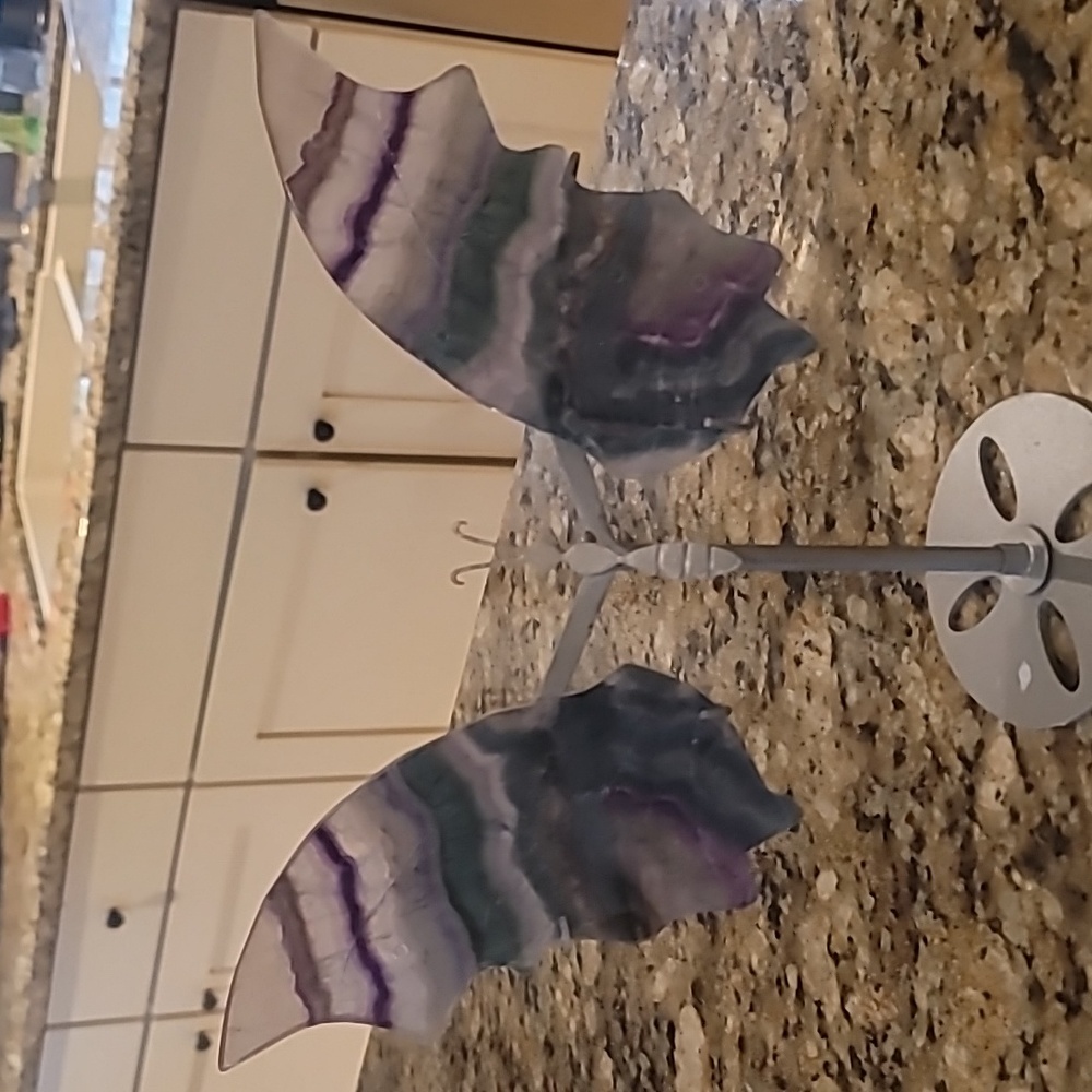 Rainbow  fluorite  butterfly  wings